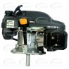 Motor WARRIOR GASOLINA XP200