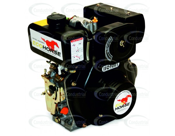 MOTOR DIESEL - ECOHORSE - KD170FA-2