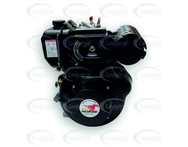 MOTOR DIESEL - ECOHORSE - KD192FP1-2