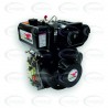 Motor diesel ecohorse kd192fp1-2 condustrial