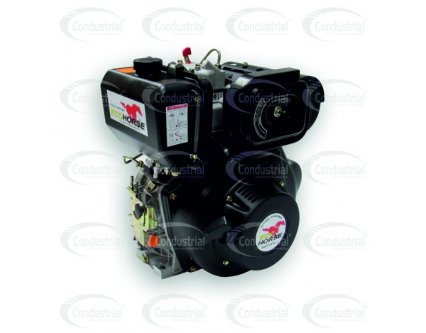 Motor DIESEL ECOHORSE KD178FP1-2