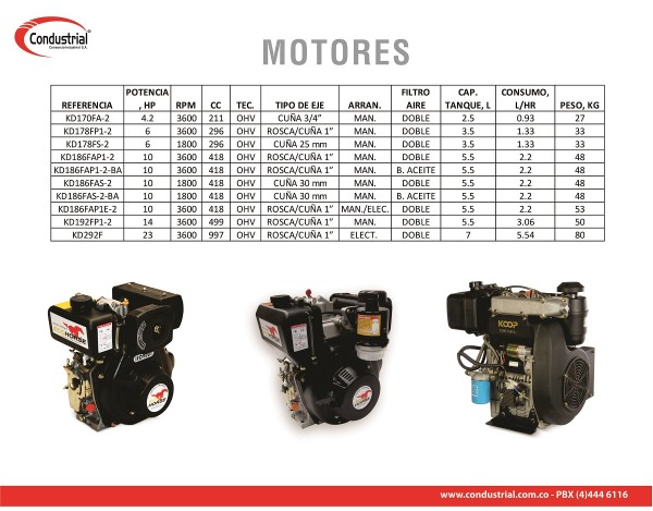 MOTOR DIESEL - ECOHORSE - KD192FP1-2