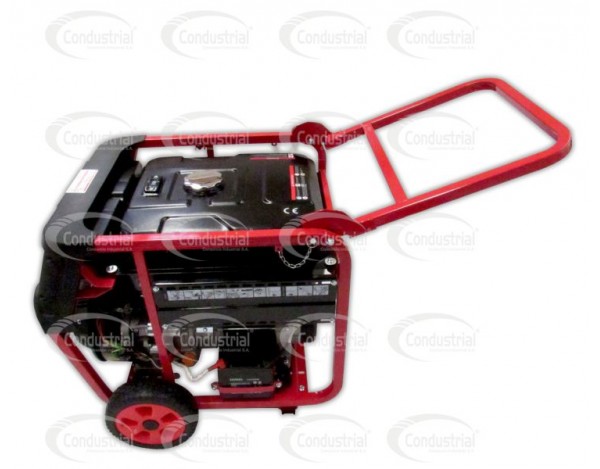 PLANTA ELECTRICA  A GASOLINA WARRIOR FG6500E