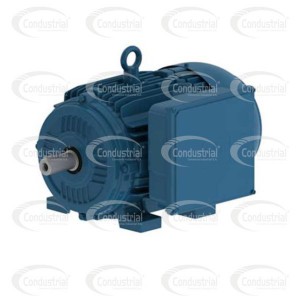 MOTOR ELECTRICO MONOFASICO - WEG - PG005181CSD