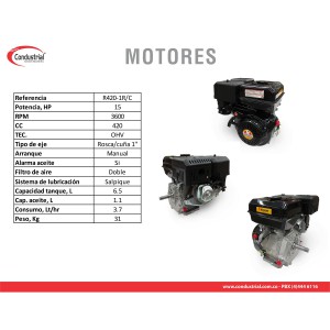 MOTOR A GASOLINA - 15HP - WARRIOR - R420-1R/C