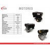 MOTOR A GASOLINA - 15HP - WARRIOR - R420-1R/C