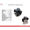 MOTOR A GASOLINA - 4.4HP - WARRIOR DK149