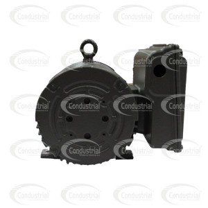 MOTOR ELECTRICO MONOFASICO - WEG - PG005181GSA