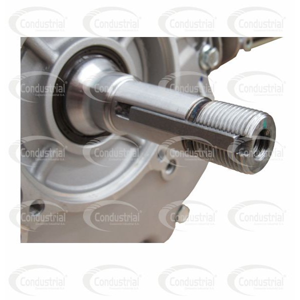 MOTOR A GASOLINA - 17HP - WARRIOR PREMIUM - R500-V2