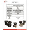 MOTOR A GASOLINA - 17HP - WARRIOR PREMIUM - R500-V2