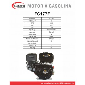 Motor WARRIOR GASOLINA ZS177F