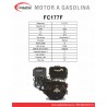 MOTOR A GASOLINA  - 9HP - WARRIOR - FC177F
