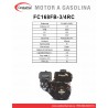 Motor WARRIOR GASOLINA ZS168FB-3/4
