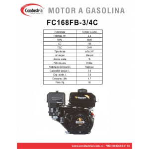 Motor WARRIOR GASOLINA ZS168FB-3/4