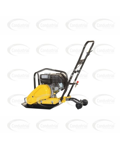 PLACA COMPACTADORA WARRIOR PREMIUM C60-6.5K