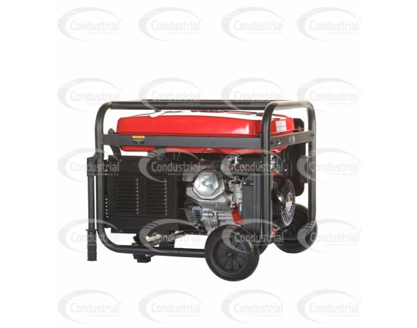 PLANTA ELECTRICA A GASOLINA WARRIOR PREMIUM R6000DP-8