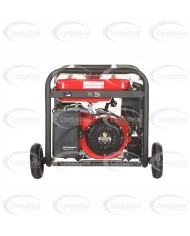 PLANTA ELECTRICA A GASOLINA WARRIOR PREMIUM R6000DP-8