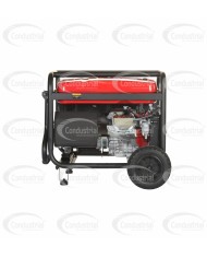 PLANTA ELECTRICA A GASOLINA WARRIOR PREMIUM R9500DP-8