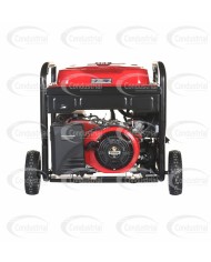 PLANTA ELECTRICA A GASOLINA WARRIOR PREMIUM R11500DP