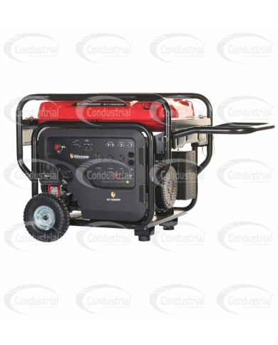 PLANTA ELECTRICA A GASOLINA WARRIOR PREMIUM R11500DP