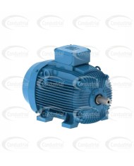 MOTOR ELECTRICO TRIFASICO - WEG - PG005363AQA