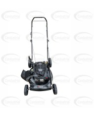 Cortacesped WB21-65W