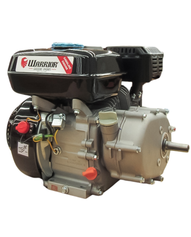 Motor WARRIOR GASOLINA ZS168FB-6