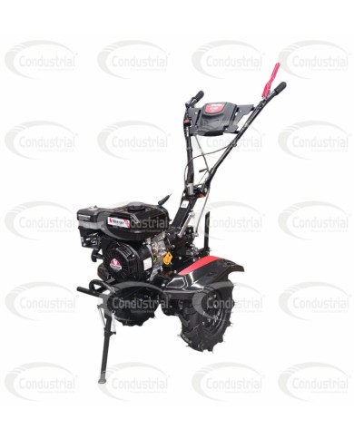 MOTOAZADA A GASOLINA WARRIOR WT600