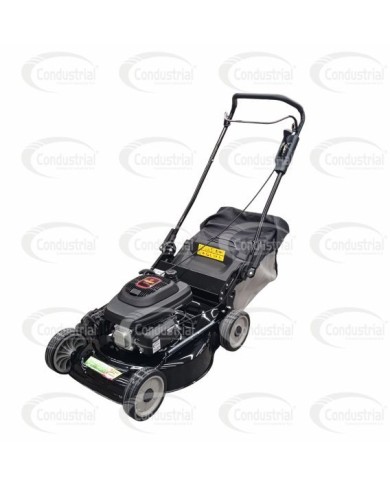 Cortacesped WB21-65W