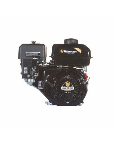 Motor WARRIOR GASOLINA ZS168FB-3/4