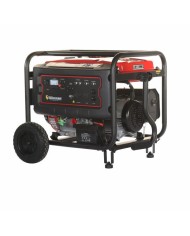 PLANTA ELECTRICA A GASOLINA WARRIOR PREMIUM R9500DP-8