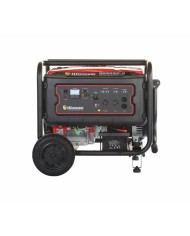 PLANTA ELECTRICA A GASOLINA WARRIOR PREMIUM R9500DP-8