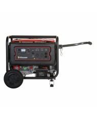 PLANTA ELECTRICA A GASOLINA WARRIOR PREMIUM R9500DP-8