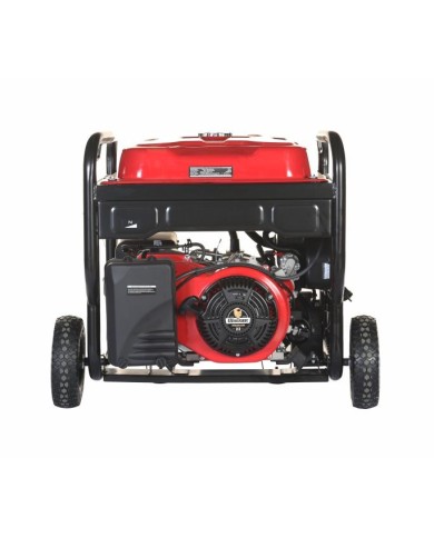 PLANTA ELECTRICA A GASOLINA WARRIOR PREMIUM R11500DP