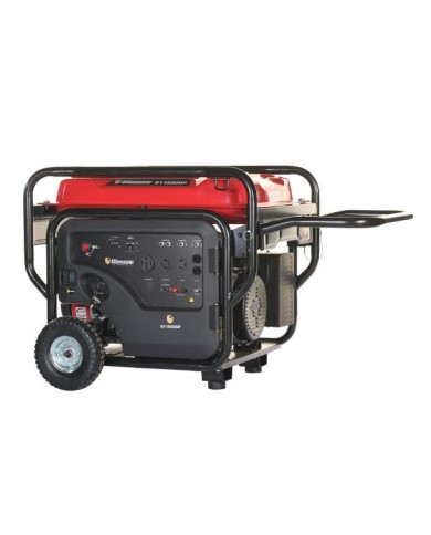 PLANTA ELECTRICA A GASOLINA WARRIOR PREMIUM R11500DP