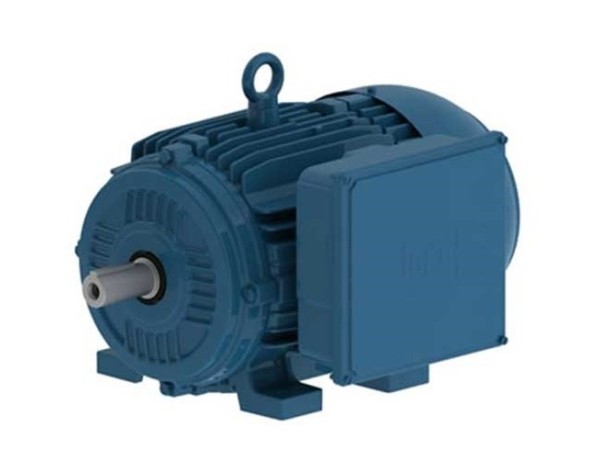 MOTOR ELECTRICO MONOFASICO - WEG - PG005181CSD