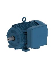 MOTOR ELECTRICO MONOFASICO - WEG - PG005181CSD