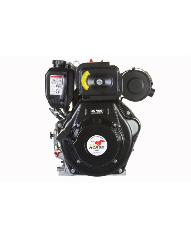 MOTOR DIESEL - 15HP - ECOHORSE - KD195FC