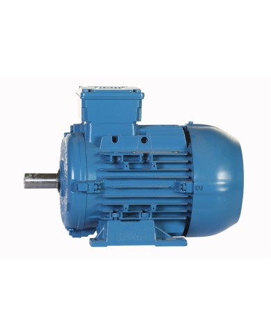 MOTOR ELECTRICO TRIFASICO - WEG - PG003363AQA