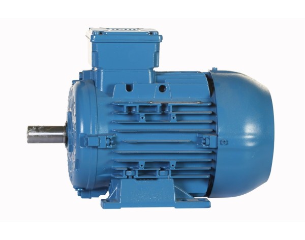 MOTOR ELECTRICO TRIFASICO - WEG - PG003363AQA