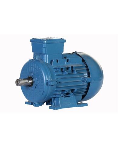 MOTOR ELECTRICO TRIFASICO - WEG - PG003363AQA