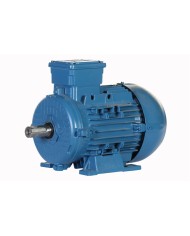 MOTOR ELECTRICO TRIFASICO - WEG - PG003363AQA
