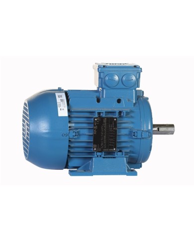 MOTOR ELECTRICO TRIFASICO - WEG - PG003363AQA