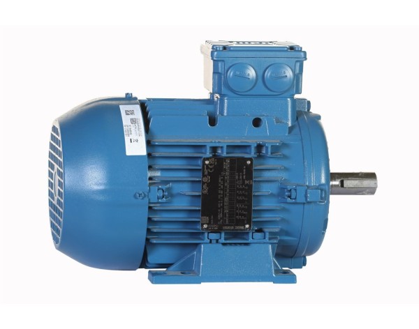 MOTOR ELECTRICO TRIFASICO - WEG - PG003363AQA