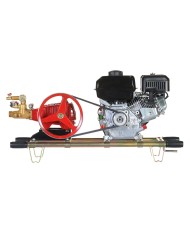 FUMIGADORA ESTACIONARIA  FE30R-6.5WG-2