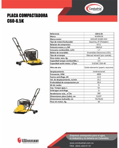 PLACA COMPACTADORA WARRIOR PREMIUM C60-6.5K