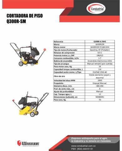 CORTADORA DE PISO - WARRIOR PREMIUM - Q300R-SM