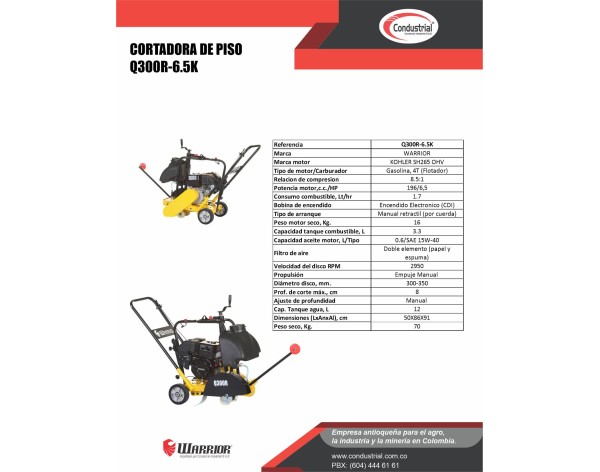 CORTADORA DE PISO - WARRIOR PREMIUM - Q300R-6.5K