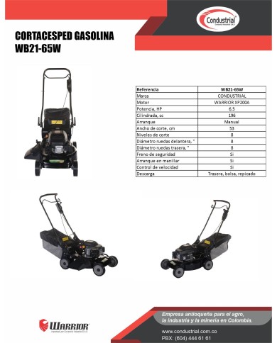 Cortacesped WB21-65W