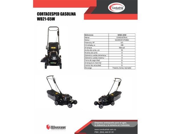 Cortacesped WB21-65W